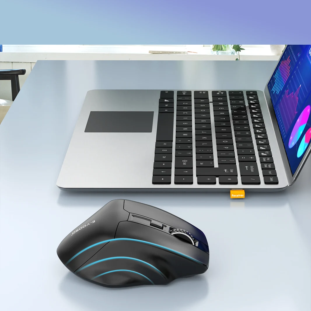 Souris de jeu